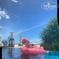 фото из отзыва ID 2667361