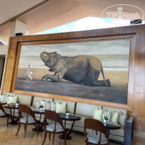 фото из отзыва ID 2667361