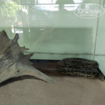 фото из отзыва ID 2665724