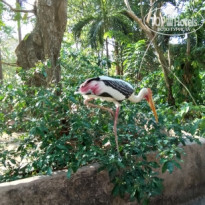 фото из отзыва ID 2665724