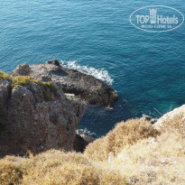 фото из отзыва ID 2667463