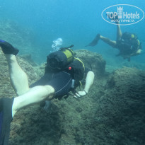 фото из отзыва ID 2667463