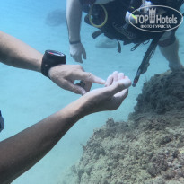 фото из отзыва ID 2667463