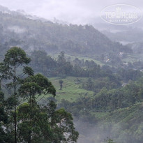 фото из отзыва ID 2667407