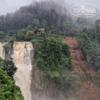 фото из отзыва ID 2667407