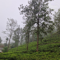 фото из отзыва ID 2667407