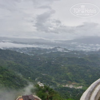 фото из отзыва ID 2667407