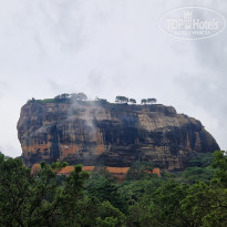 фото из отзыва ID 2667407