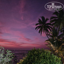 фото из отзыва ID 2667407