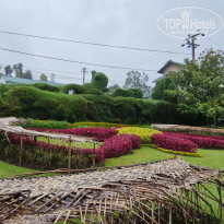 фото из отзыва ID 2667407