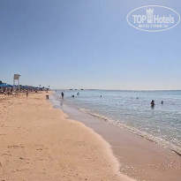 фото из отзыва ID 2667496