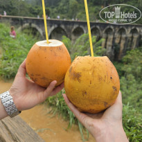 фото из отзыва ID 2667556