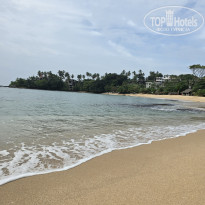 фото из отзыва ID 2667556