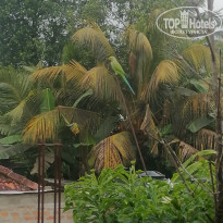 фото из отзыва ID 2667538