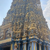 фото из отзыва ID 2667538