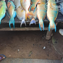 фото из отзыва ID 2667538