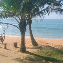 фото из отзыва ID 2667538