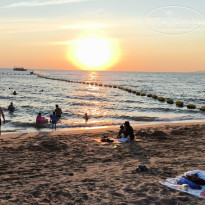 фото из отзыва ID 2666309