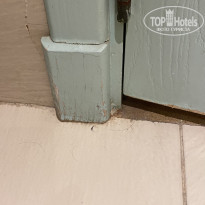 фото из отзыва ID 2667635