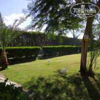 фото из отзыва ID 2667656