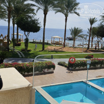 фото из отзыва ID 2667675