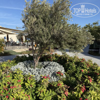 фото из отзыва ID 2667691