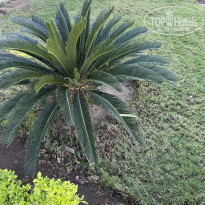 фото из отзыва ID 2667691