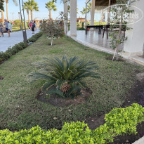 фото из отзыва ID 2667691