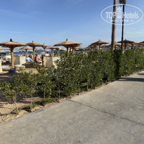 фото из отзыва ID 2667691