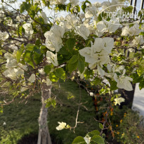 фото из отзыва ID 2667691