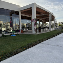 фото из отзыва ID 2667691