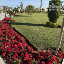 фото из отзыва ID 2667691