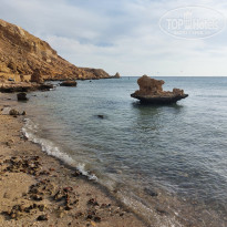 фото из отзыва ID 2667559