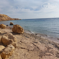 фото из отзыва ID 2667559