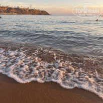 фото из отзыва ID 2667559