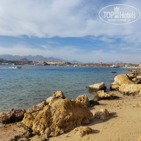 фото из отзыва ID 2667559