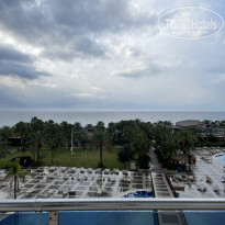 фото из отзыва ID 2667853