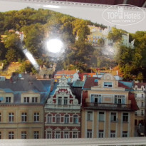 фото из отзыва ID 2667773