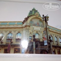 фото из отзыва ID 2667773