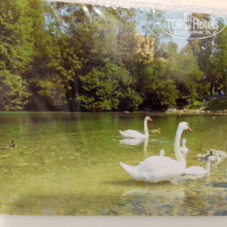 фото из отзыва ID 2667773