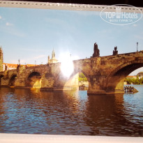 фото из отзыва ID 2667773