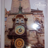 фото из отзыва ID 2667773