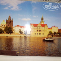 фото из отзыва ID 2667773