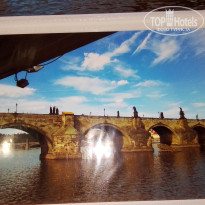 фото из отзыва ID 2667773