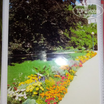 фото из отзыва ID 2667773