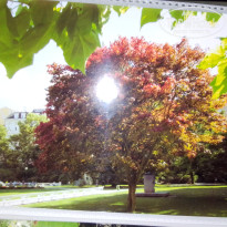 фото из отзыва ID 2667773