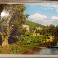 фото из отзыва ID 2667773