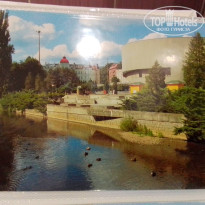 фото из отзыва ID 2667773