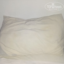 фото из отзыва ID 2667884