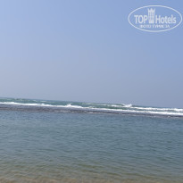 фото из отзыва ID 2667907